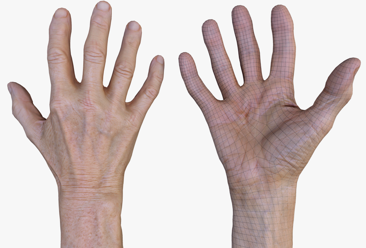 Hand Model Texture maps